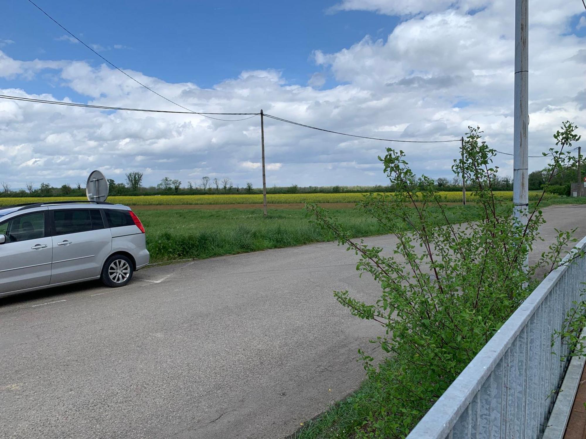 Appartamento L'Annexe Reiningue Esterno foto